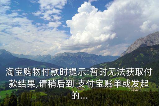 支付結(jié)果,滴滴打車暫未獲得支付結(jié)果