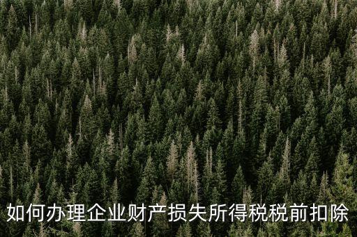 如何辦理企業(yè)財(cái)產(chǎn)損失所得稅稅前扣除
