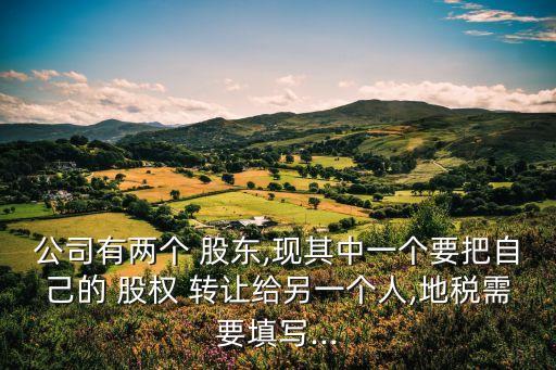 個人股東股權(quán)轉(zhuǎn)讓信息表模板,股權(quán)轉(zhuǎn)讓信息表股東轉(zhuǎn)讓份額