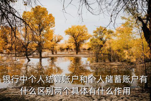 銀行中個(gè)人結(jié)算賬戶和個(gè)人儲(chǔ)蓄賬戶有什么區(qū)別兩個(gè)具體有什么作用