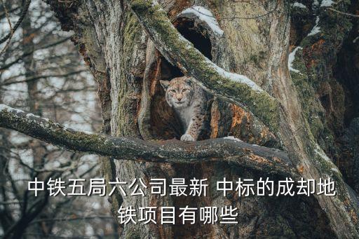 中國中鐵中標15個重大工程項目