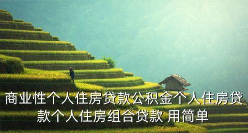 個(gè)人住房組合貸款，什么叫公積金個(gè)人住房組合貸款
