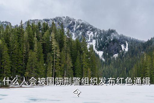 紅色通緝令，F(xiàn)M1024紅色通緝令講的是什么