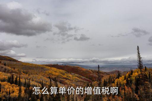 怎么算單價的增值稅啊