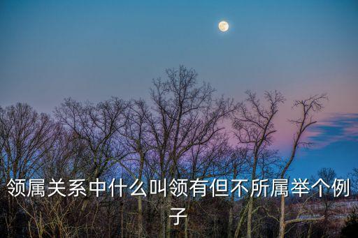 領(lǐng)屬關(guān)系中什么叫領(lǐng)有但不所屬舉個例子