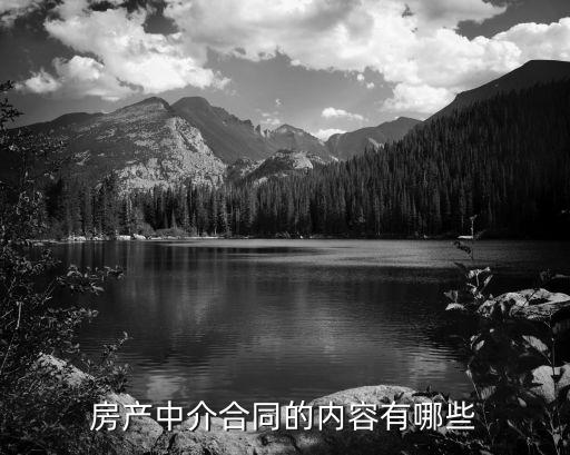中介服務(wù)合同，勞務(wù)中介服務(wù)合同是根據(jù)什么合同法