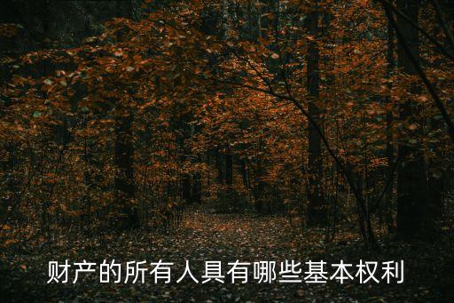 財產(chǎn)權(quán)利，什么是財產(chǎn)權(quán)利