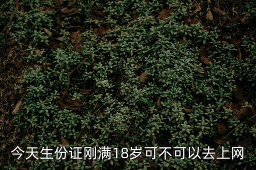 十八歲身份證，改防沉迷身份