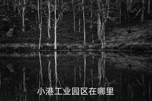 小港工業(yè)園區(qū)在哪里