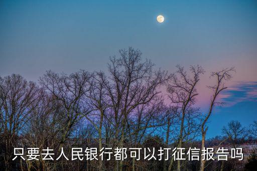 打報告，只要去人民銀行都可以打征信報告嗎