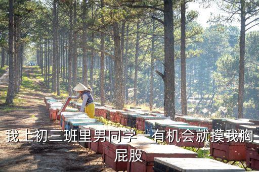 我上初三班里男同學(xué)一有機(jī)會(huì)就摸我胸屁股