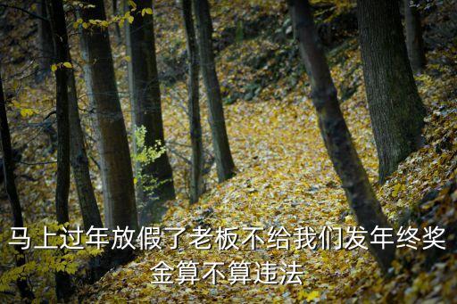 馬上過年放假了老板不給我們發(fā)年終獎金算不算違法