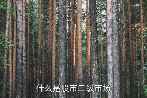股票二級(jí)市場(chǎng)，什么是股市二級(jí)市場(chǎng)