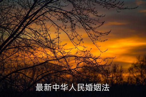 最新婚姻法，最新中華人民婚姻法