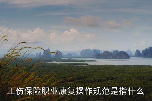 工傷保險(xiǎn)職業(yè)康復(fù)操作規(guī)范是指什么