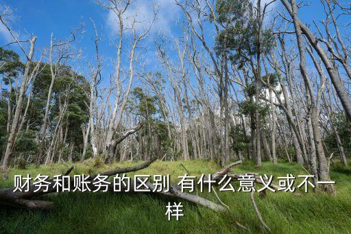 財(cái)務(wù)和賬務(wù)的區(qū)別 有什么意義或不一樣