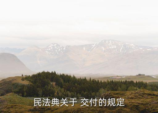 交付方式,目前在線運營服務(wù)模式回單交付方式