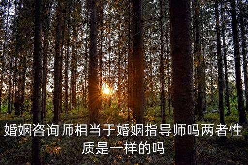 婚姻指導(dǎo)，婚姻咨詢師相當(dāng)于婚姻指導(dǎo)師嗎兩者性質(zhì)是一樣的嗎