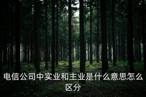 主業(yè)，大學(xué)里什么是主業(yè)什么是副業(yè)