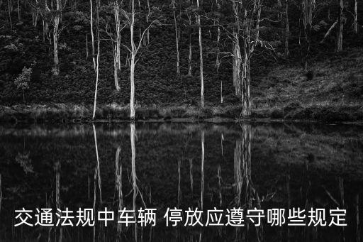 停放車