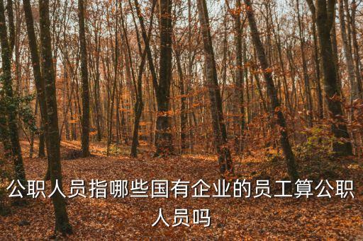 公職人員指哪些國有企業(yè)的員工算公職人員嗎