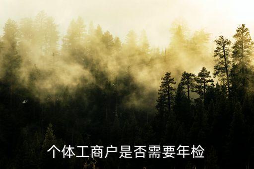 個體戶需要年報嗎，個體戶真的要進行年度報告制度