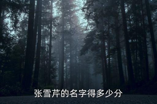 張雪芹，張雪芹的名字得多少分
