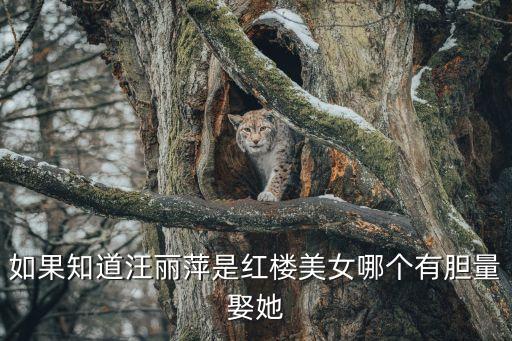 如果知道汪麗萍是紅樓美女哪個有膽量娶她