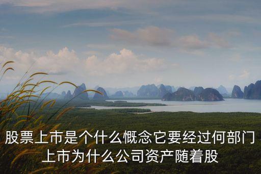 股票上市，股票上市是什么意思啊