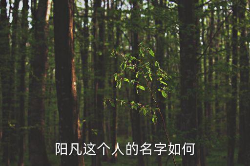 陽凡，你真名就是陽凡嗎哪里人