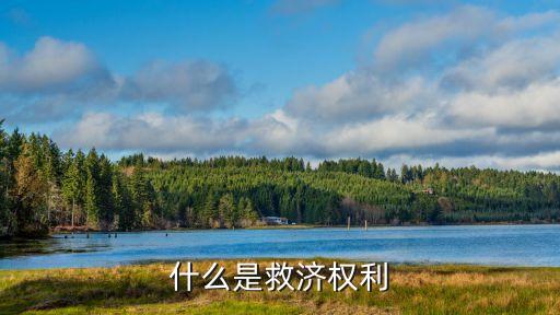 救濟(jì)權(quán)，什么是救濟(jì)權(quán)利