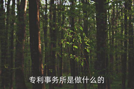 專利事務(wù)，大家好請(qǐng)問(wèn)一下專利事務(wù)所工作怎么樣啊工資待遇還有發(fā)展前景