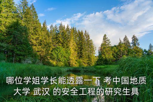 哪位學姐學長能透露一下 考中國地質大學 武漢 的安全工程的研究生具