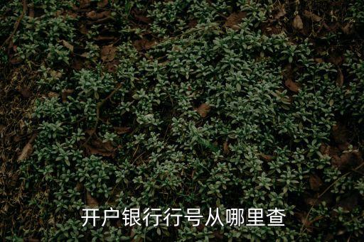  開戶銀行行號從哪里查