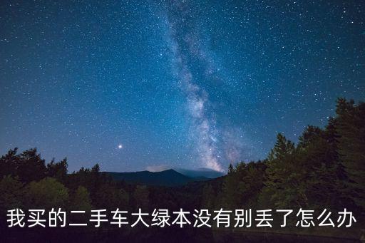 我買的二手車大綠本沒有別丟了怎么辦