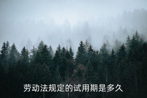 勞動(dòng)法規(guī)定的試用期是多久