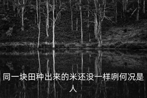 同一塊田種出來的米還沒一樣咧何況是人