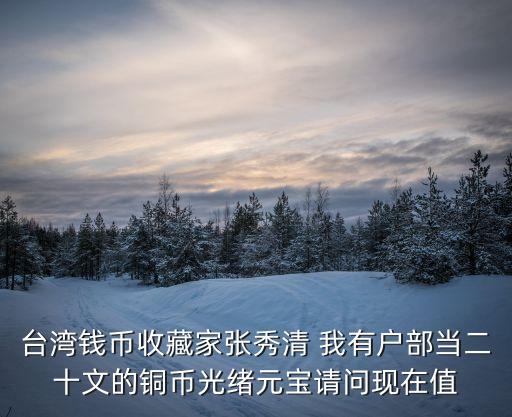 臺灣錢幣收藏家張秀清 我有戶部當二十文的銅幣光緒元寶請問現(xiàn)在值