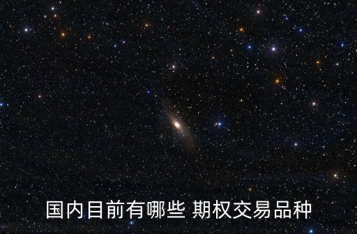 國內(nèi)目前有哪些 期權(quán)交易品種