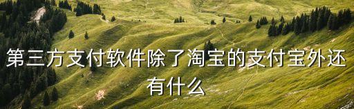 第三方支付平臺有哪些，第三方支付軟件除了淘寶的支付寶外還有什么