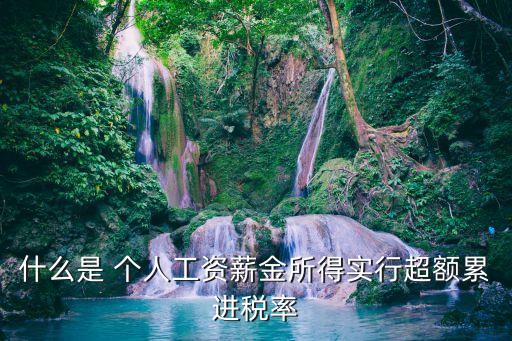 超率累進(jìn)稅率，什么是 個(gè)人工資薪金所得實(shí)行超額累進(jìn)稅率