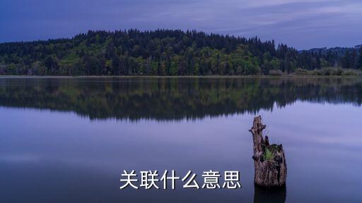 關(guān)聯(lián)，關(guān)聯(lián)什么意思