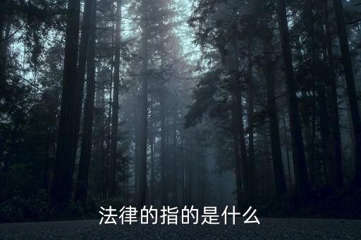 法律的定義，法律的含義及性質(zhì)