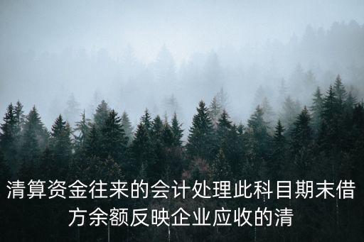 清算資金往來，清算資金往來的會(huì)計(jì)處理此科目期末借方余額反映企業(yè)應(yīng)收的清
