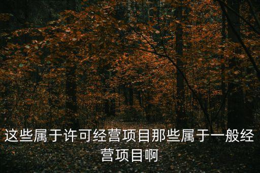 這些屬于許可經(jīng)營(yíng)項(xiàng)目那些屬于一般經(jīng)營(yíng)項(xiàng)目啊