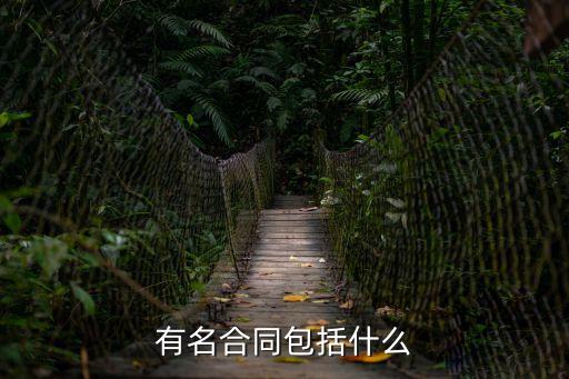 有名合同包括什么