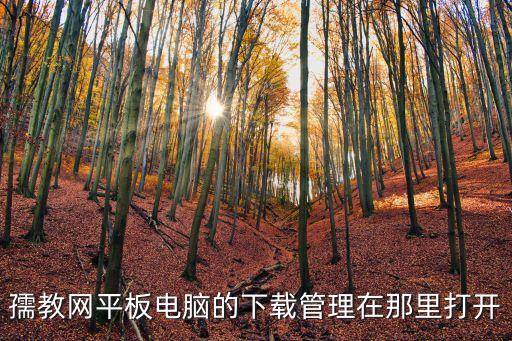 孺教網(wǎng)，孺教網(wǎng)平板電腦的下載管理在那里打開