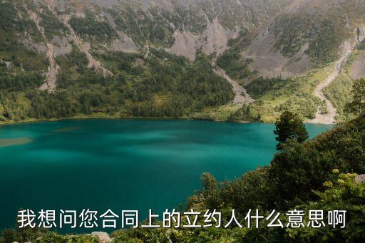 我想問您合同上的立約人什么意思啊