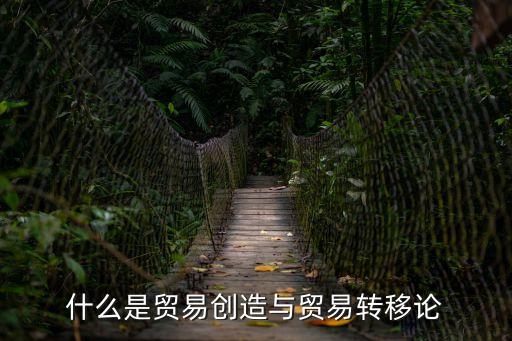 貿(mào)易轉(zhuǎn)移，貿(mào)易轉(zhuǎn)移效果和貿(mào)易創(chuàng)造效果的典型案例一句話概括