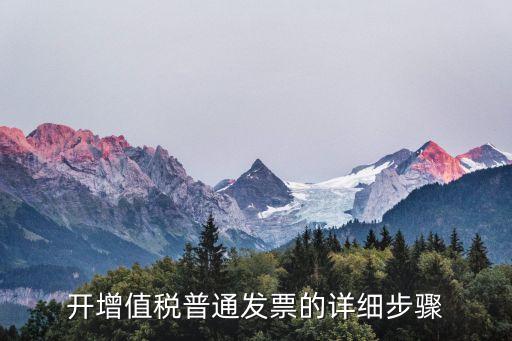 開增值稅普通發(fā)票的詳細(xì)步驟